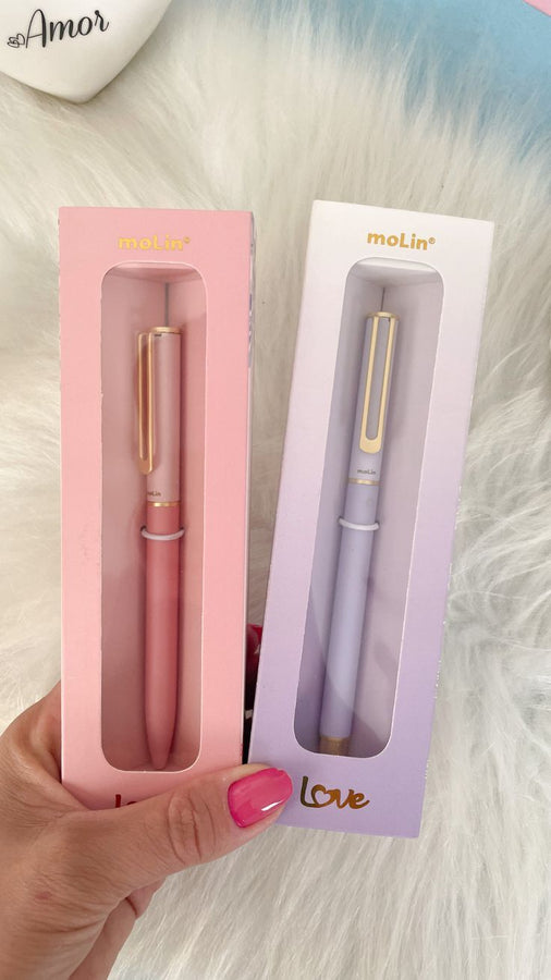 Elegant Korean Style Fountain Pen with Ink Converter